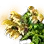 [Level 5] 102 Year Old Golden Herb icon