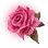 Wild Rose of the Tearless Girl icon