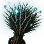 [Level 7] Rusalka's Thorny Bouquet icon