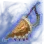 Sandstorm Horn Bow icon