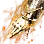 Burning Valtarra's Vediant icon