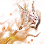 Burning Valtarra's Jordun icon