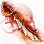 Burning Valtarra's Serenaca icon