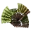 Katan Foxtail Fans icon
