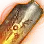 Nouver Quoratum icon