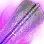 Kutum Quoratum icon