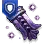 Covert: Vengeful Crow Talisman of Defense icon