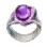 Alchemist's Ring icon