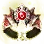 Starlit Ring of Crescent Guardian icon