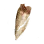 Cracked Tooth icon