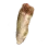 Intact Tooth icon