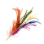 Ragged Five-Color Ferri Feather icon
