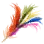 Intact Five-Color Ferri Feather icon