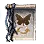 Fairy Name Change Coupon icon