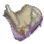 Commander's Saddle icon