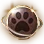 Pet Skill Change Coupon icon