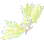 [Maegu] Treant Camouflage Foxtail Fans icon