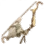 [Musa] Cantusa Horn Bow icon
