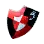 [Valkyrie] Jousting Shield icon