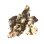 [Guardian] Ynixtra Gloves icon