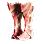 [Shai] Tantu Shoes icon