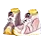 [Shai] Spotlight Shoes icon