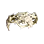 [Shai] Vediras Hood icon