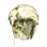 [Wizard] Pumpkin Tailor Hat icon