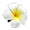 [Event] Plumeria Hair Ornament icon