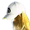 [Shai] Ocean Spray Ball Cap icon