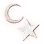 [1st Anniversary] Moon and Stars Earrings B icon