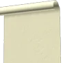 Plastered Wall icon